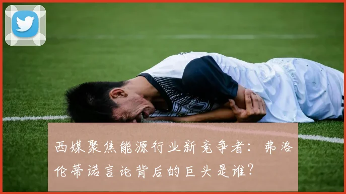 西媒聚焦能源行业新竞争者：弗洛伦蒂诺言论背后的巨头是谁？